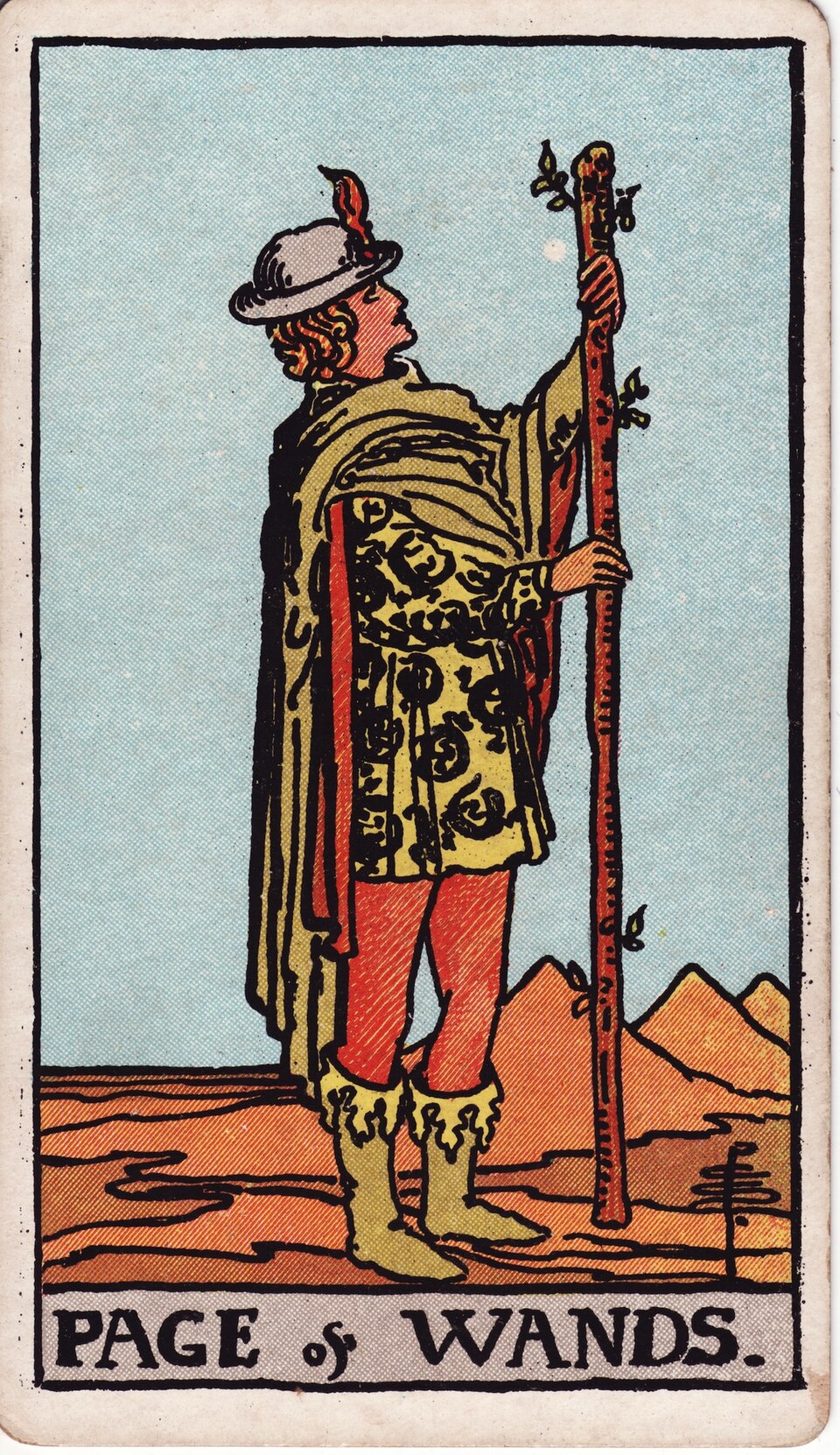 Page of Wands, from the Rider-Waite-Smith tarot